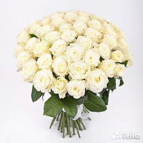 Букет роз сорта Avalanche 51 шт. 70 см