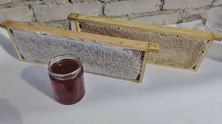 Продаю мед в сотах