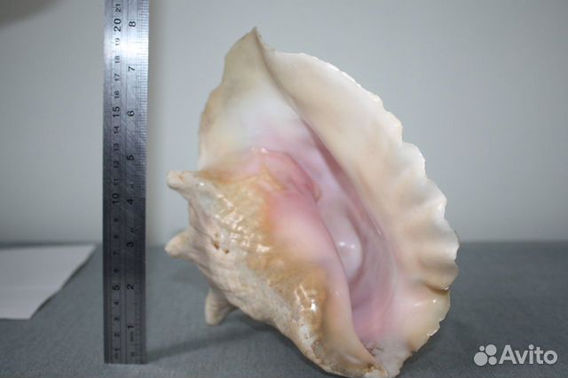 Лопата старинная, угольная, возможно СССР