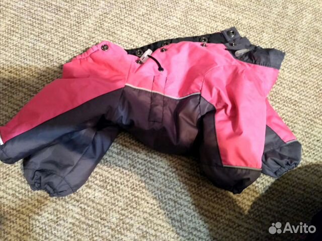 Дождевик для маленькой собаки