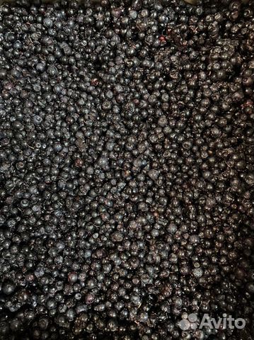 Черника свежезамороженная