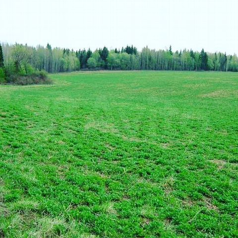 Участок 3 га (СНТ, ДНП)