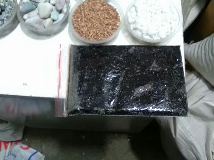 Мотыль мороженный