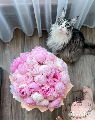 Пионы, Flowers124, цветы, букеты, доставка