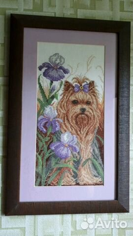 Картина крестиком Йорк милашка в ирисах