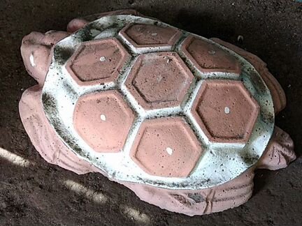 Черепаха обмен на баллоны пропановые