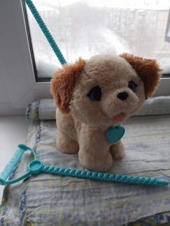 Собака-робот