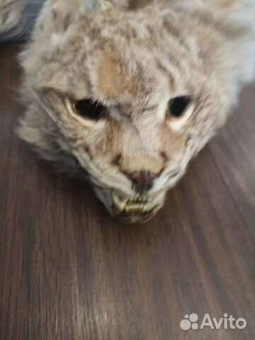 Шкура рыси имитация