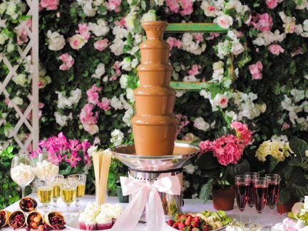 Шоколадный фонтан аренда/услуга