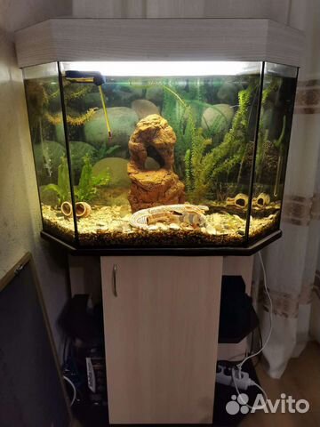 Аквариум
