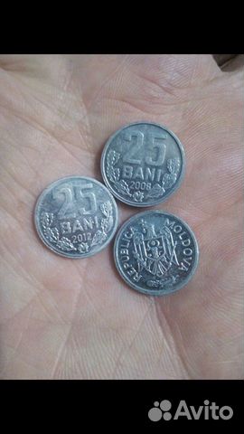 Молдавские монеты 25 Бани