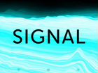 Фестиваль Signal / Сигнал 2022 Билеты объявление продам