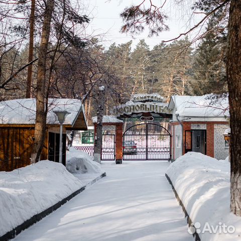 Алтайский край зудилово фото