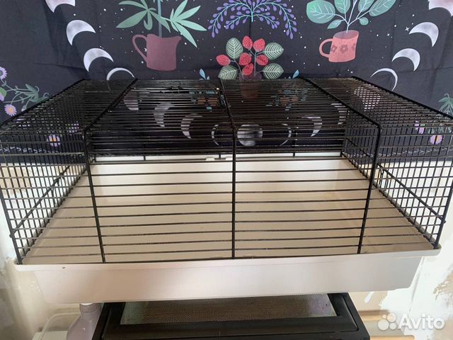 Клетки для грызунов