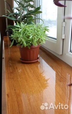 Подоконники Эстера Кристаллит, Данке, Мёллер