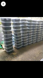 Черви для рыбалки