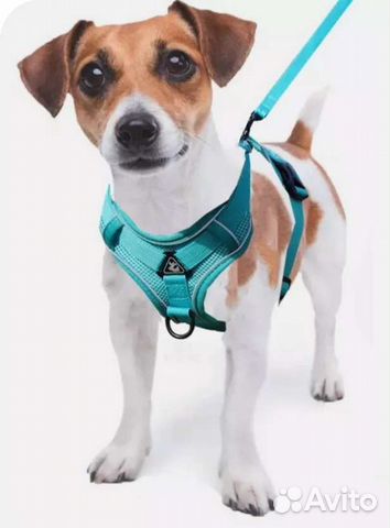 Шлейка новая - для маленьких и средних собак