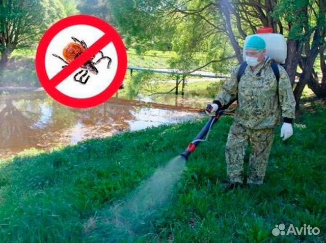 Обработка участка от клещей и комаров в Перми | Услуги | Авито