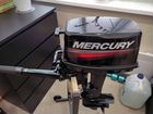 Mercury 9.9 light