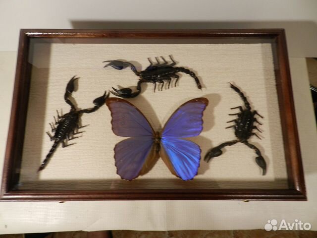 Шкатулка для украшений