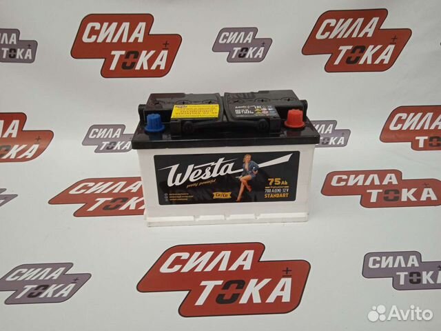 Аккумулятор Gazel Sobol