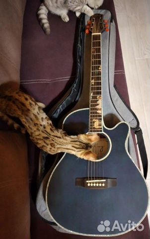 Акустическая гитара ukboy PN-400CB c чехлом