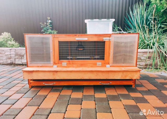 Брудер для содержания цыплят