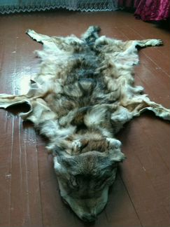 Шкура волка