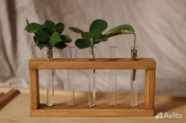 Ваза для цветов, комнатные растения