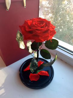 Роза в колбе с гарантией 5 лет