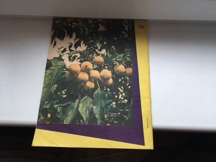 Журнал садоводство 1963 год