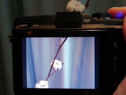 Olympus Pen e-pl2