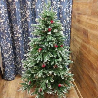 Живые ели и сосны (новогодние)