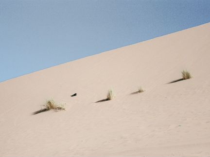 Фото в рамке