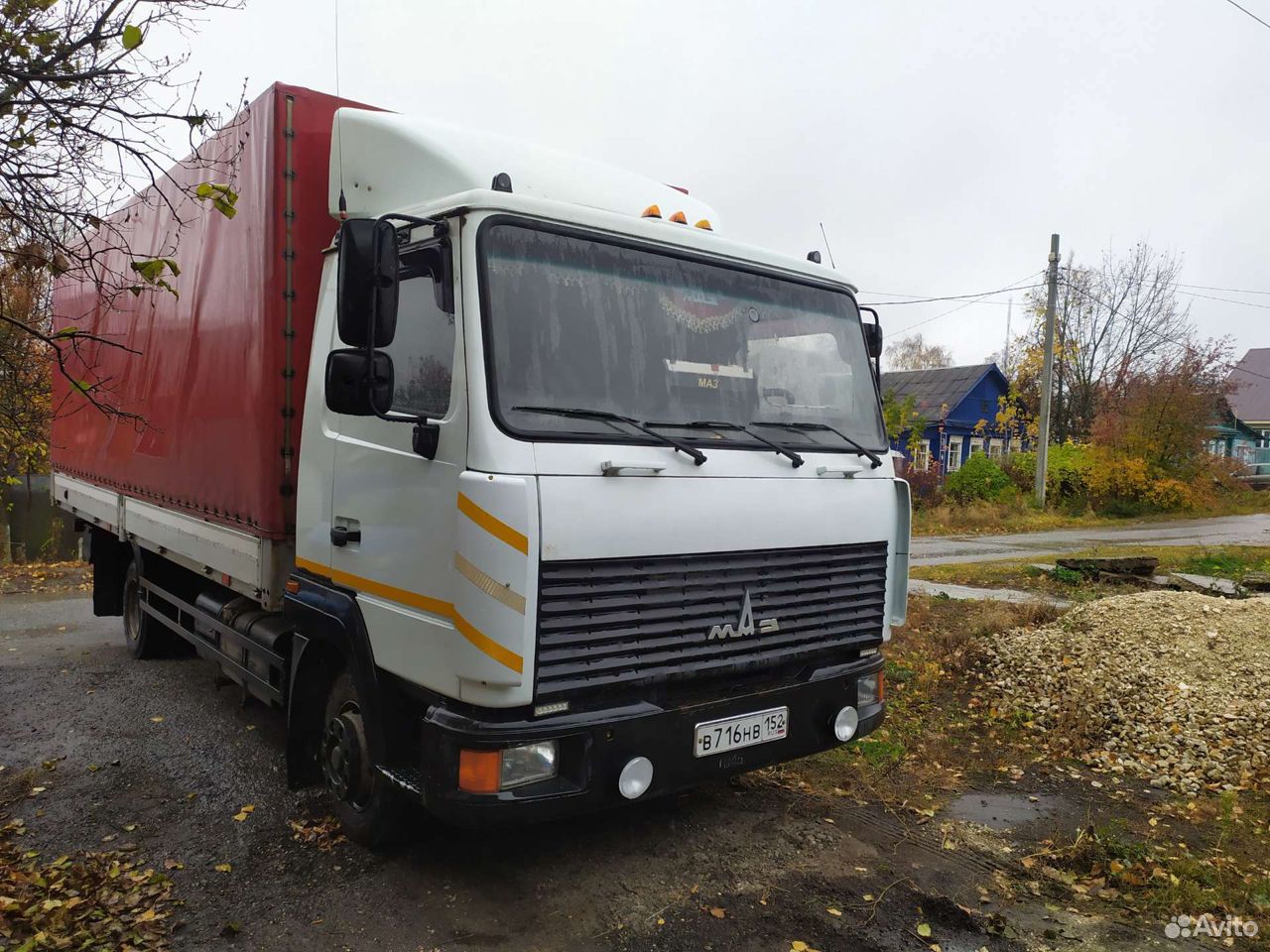 Продам маз зубренок