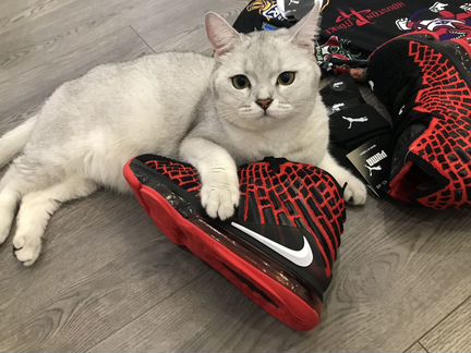 Новые Баскетбольные кроссовки Nike Lebron 17 40-45