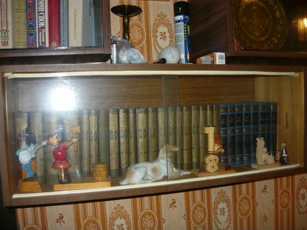 Книжная полка