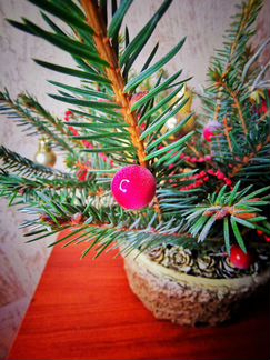Новогодняя елка композиция
