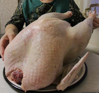 Мясо индейки домашнее