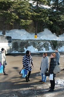 Шубка кролик-рекс, под шиншиллу