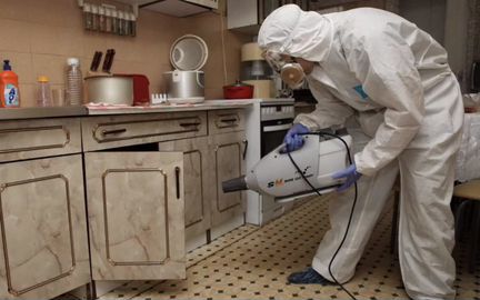 Уничтожение клопов, тараканов, дезинфекция,плесень