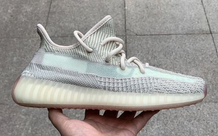 Adidas Yeezy Boost 350 v.2 