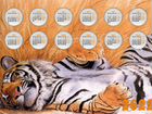 Год тигра Календарь 2022 (2 шт)