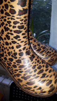 Резиновые сапоги