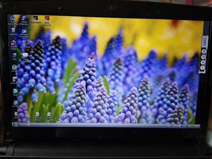 Ноутбук packard bell