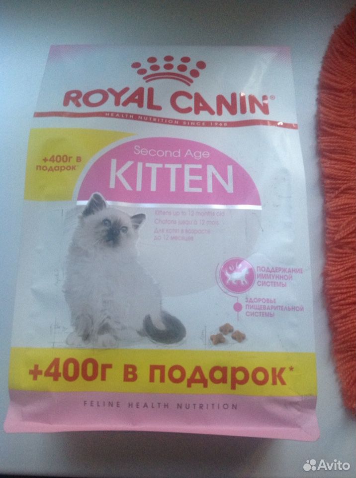 Купить корм в туле. Авито корм Royal Canin для котят. Котенок 800 грамм.