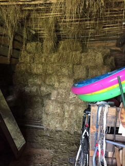 Сено в тюках