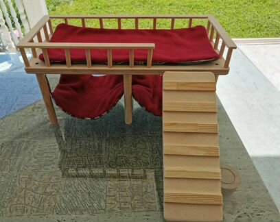 Морские свинки Эко-дом