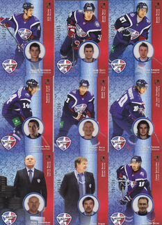 Золотая коллекция кхл 2013-14 матч звезд