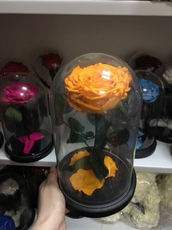 Роза в колбе